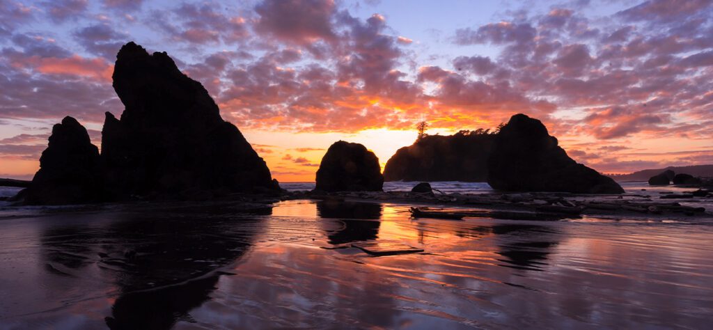 6 tips on how to visit Olympic National Park